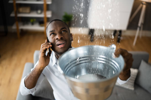 Best Water damage restoration insurance claims  in Cuthbert, GA