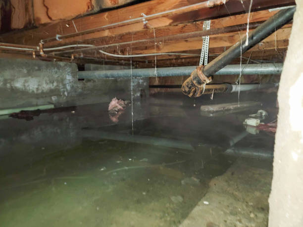 Best Emergency water damage restoration  in Cuthbert, GA