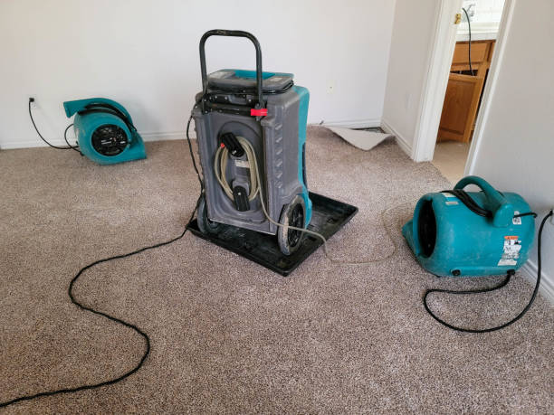 Best Flooded house restoration  in Cuthbert, GA