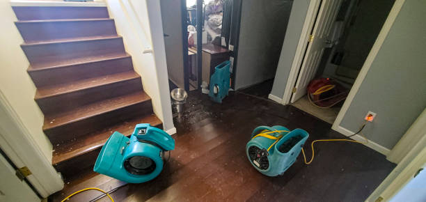  Cuthbert, GA Water damage restoration Pros