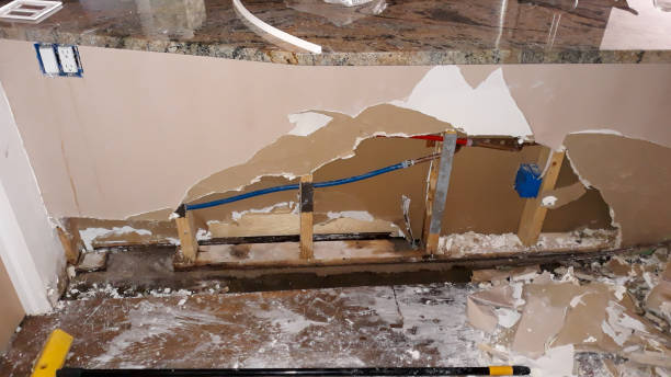 Best Carpet water damage restoration  in Cuthbert, GA