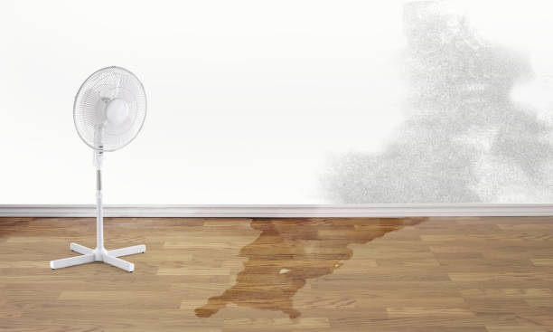 Best Water damage restoration near me  in Cuthbert, GA