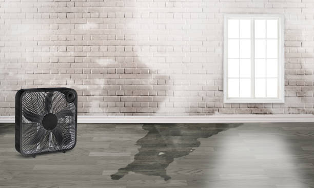 Best Flood damage cleanup  in Cuthbert, GA