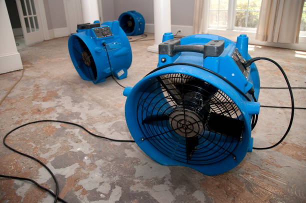 Best Basement water damage restoration  in Cuthbert, GA