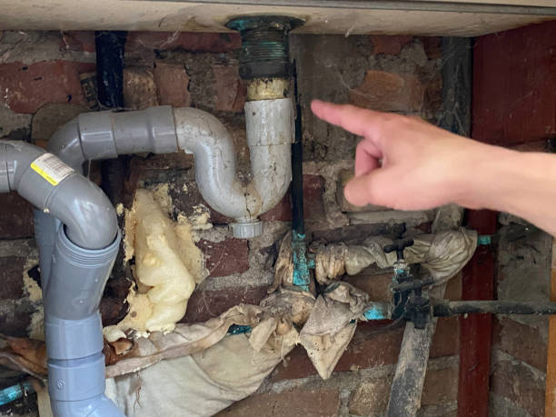 Best Water damage restoration services  in Cuthbert, GA