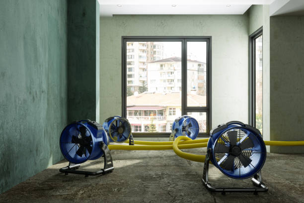 Best Flood restoration services  in Cuthbert, GA